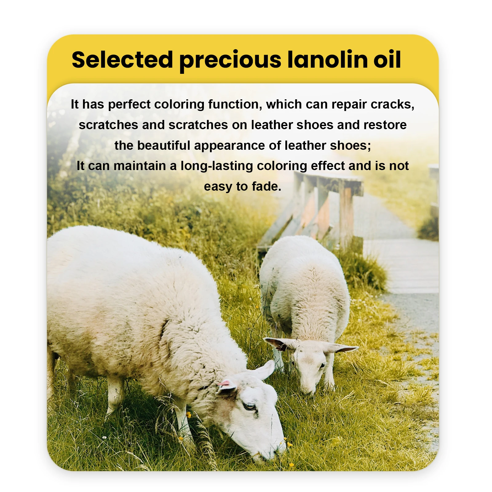 Leather Care Polish Wax Cream for Shoes and Furniture