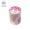 JIANWU 50mm*200cm Mountain Vines Series Vintage Plant Flower Landscaping Material Collage PET Tape Creative Journal Stationery 6