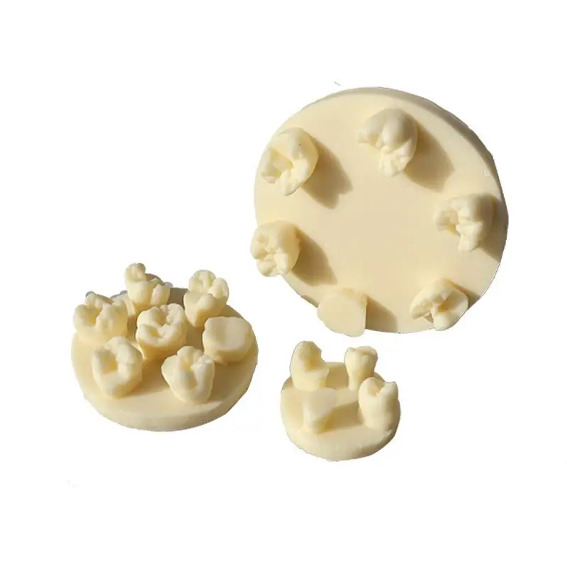 1PCS 레진 치아 형태학 연습 모델 치근관 충전 인레이 레진 모듈 치과 교육 훈련용 레진 모델 도구