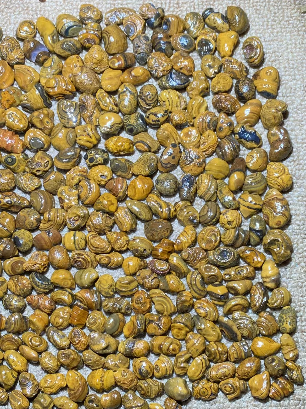 277pcs/lot boutique natural three-dimensional relief surface coin eye stone loose beads Gobi agate grain Pretty rare