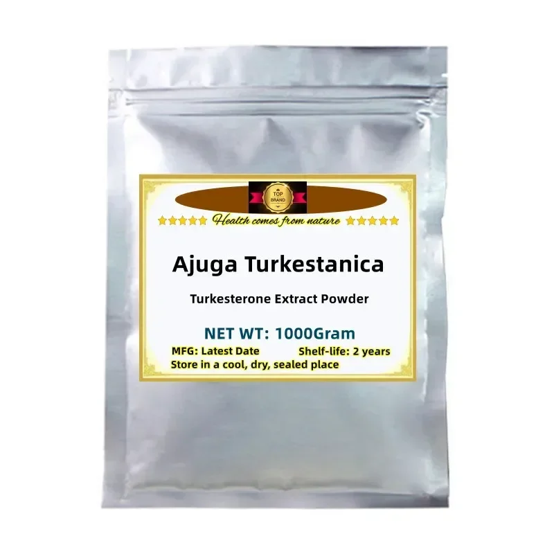 Turkestone Ajuga, Spedizione Gratuita, 50G-1000G