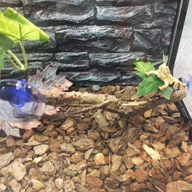 Hüllómászó Szőlő 2Pcs Terrárium Növényi Dekoráció Szívópohár Műanyagok Ágakkal Pet Tank Élőhely Dekorációja - Image 5