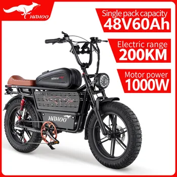 HAHOO H20 20 inches adult electric mountain bike 1000W brushless motor 48V 60Ah ebike dual suspension off road tyre bicycle 2