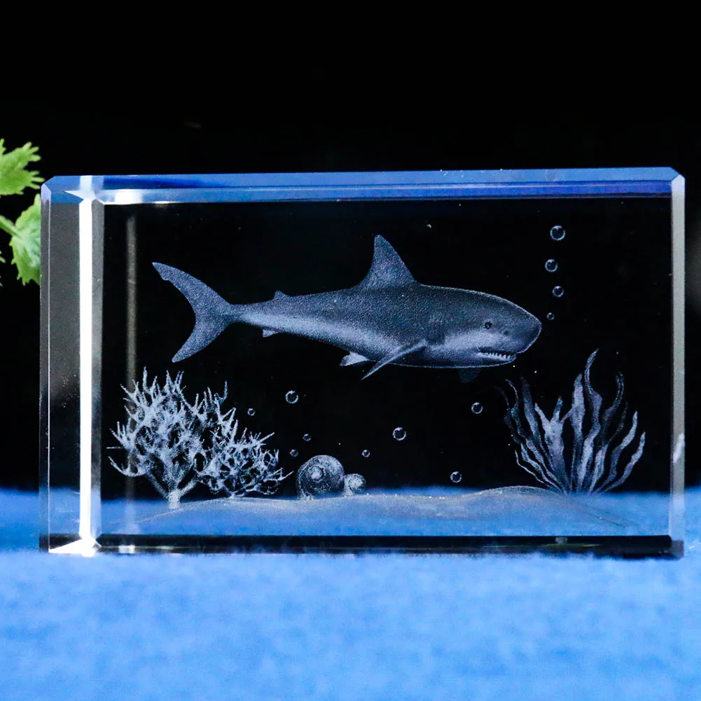 Laser Stereoscopic Underwater World White Shark Fish Seaweed