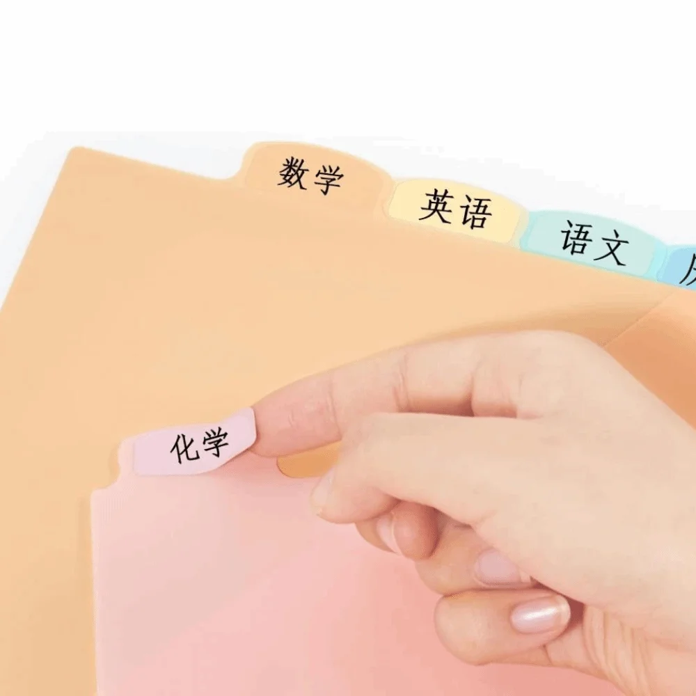 8개 A4 파스텔 바인더 디바이더 3링 바인더 8탭 디바이더 플라스틱 파일 폴더 싱글 포켓 싱글 포켓 디바이더 학교용