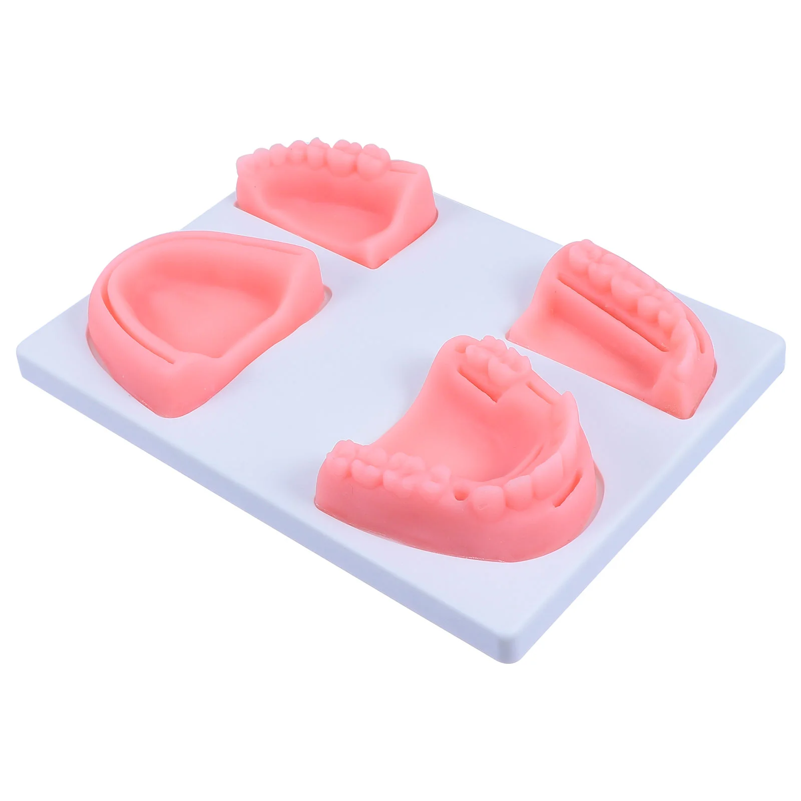 

Module Models Silicon Suture Pad for Vets Silica Gel Teeth Training