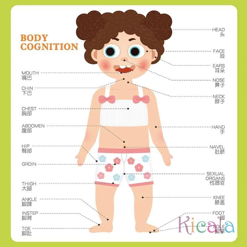 Kids Human Body Organs Muscles Skeleton Cognition Magnetic Puzzle Interactive Toy Montessori Busy Book Preshool Sensory Toy