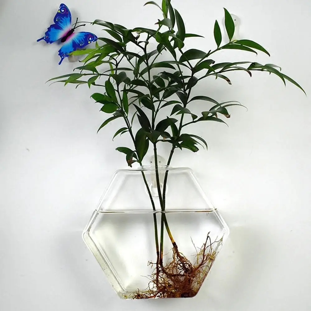 Description Picture 6 of itemFashion Wall Hanging Glass Flower Vase Terrarium Wall Fish Tank Aquarium Container Flower Planter Pots Home Garden Decoration