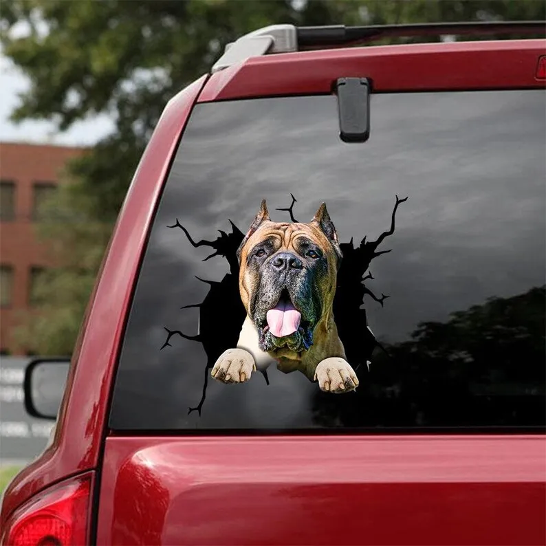 Cane Corso Decal - Fits Cars, Windows, Laptops And Any Smooth Surface,Cane Corso Stickers, Dog Decal, Custom Cane Corso Sticker,