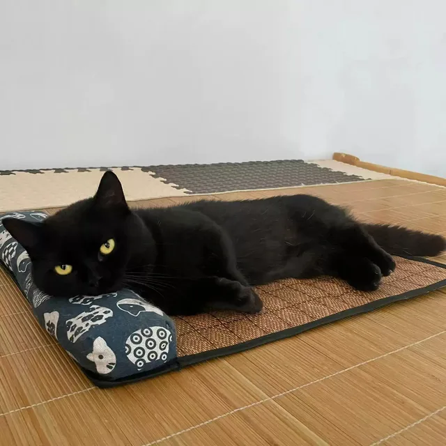 Cat Natural Cooling Mat Summer Pet Self Cooling Pad Cat Bed Mat For Dogs Indoor Rattan Weave Mat Sleeping Cat Bed 2