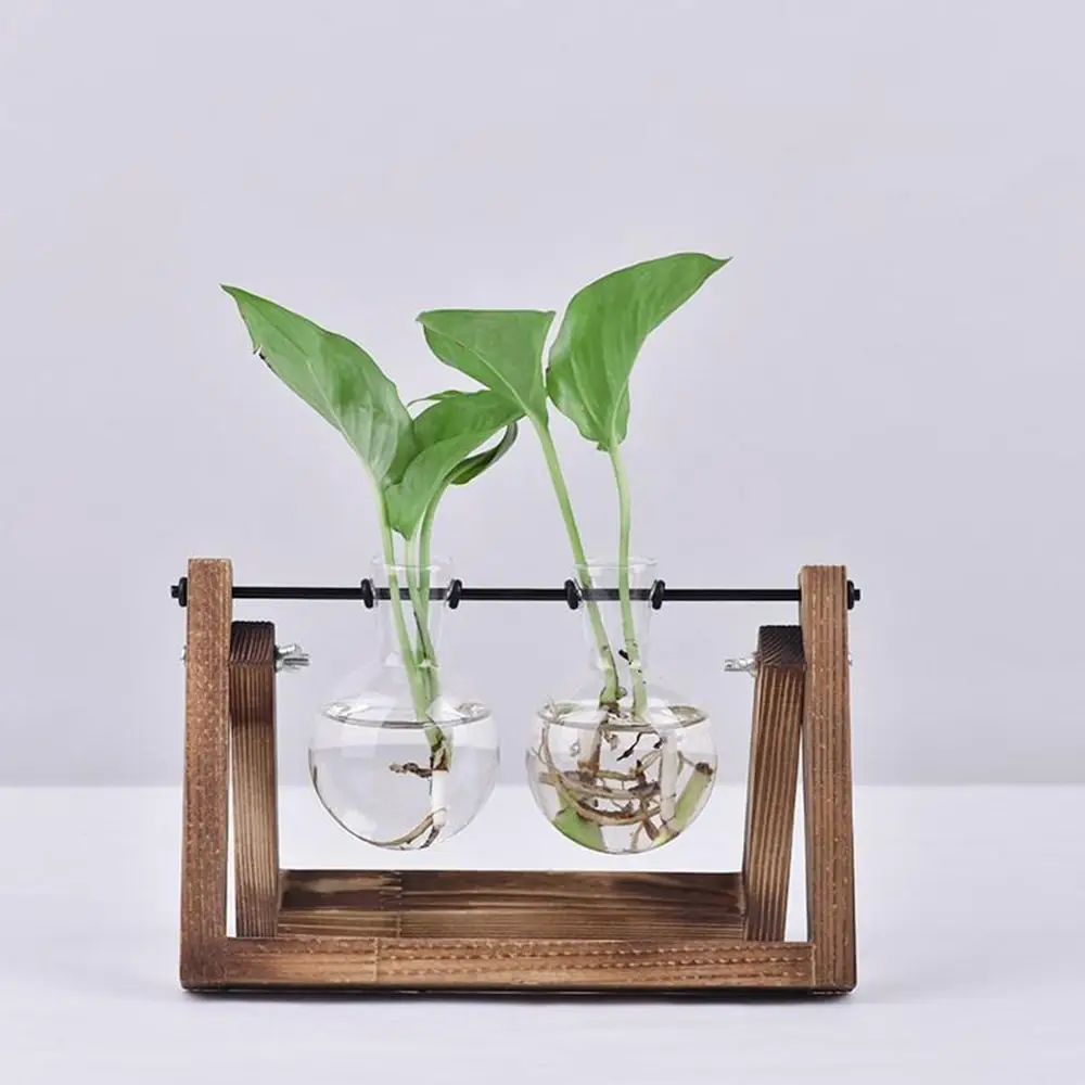 Hydroponic Vintage Glass Vase with Wooden Frame