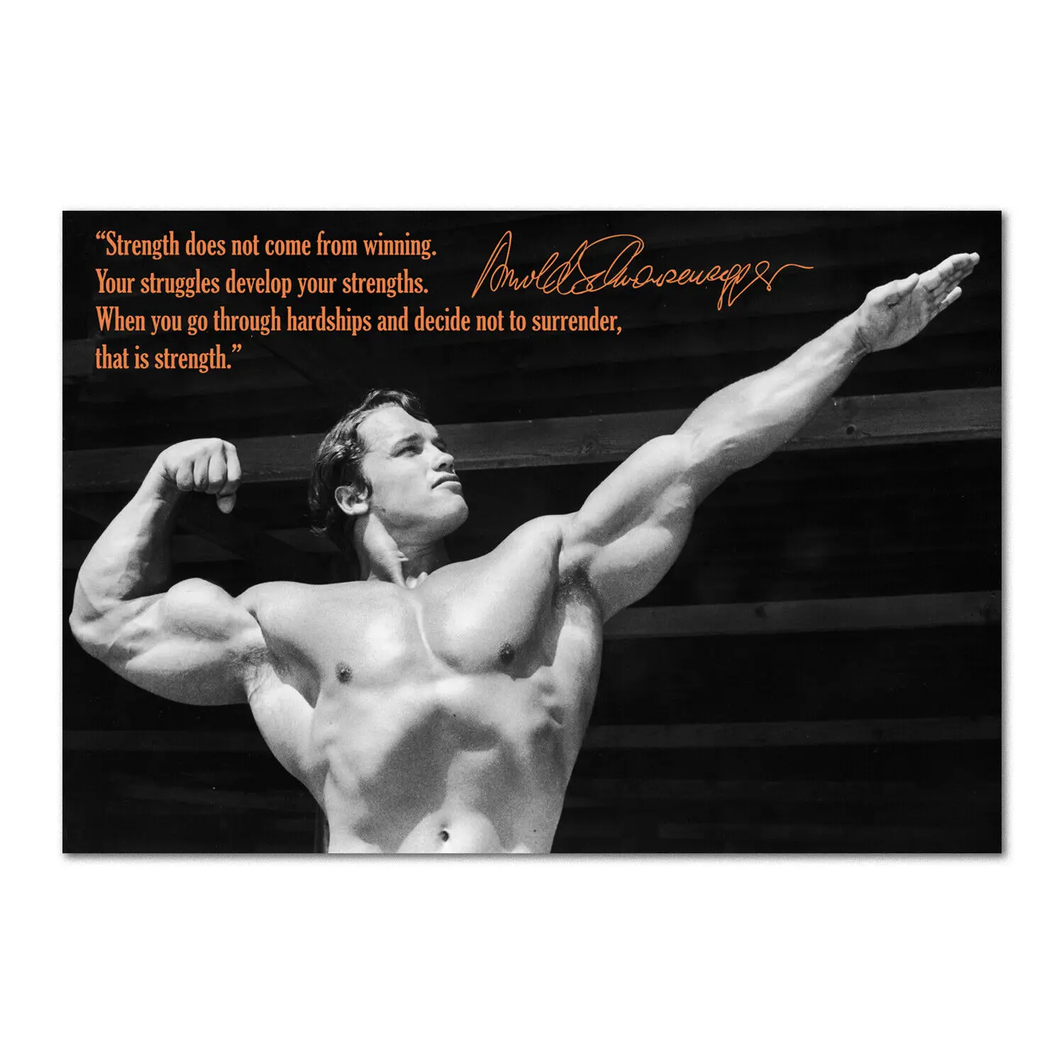 

Arnold Schwarzenegger Motivational Body Building Inspirational Quote Art Film Print Silk Poster Home Wall Decor 24x36inch