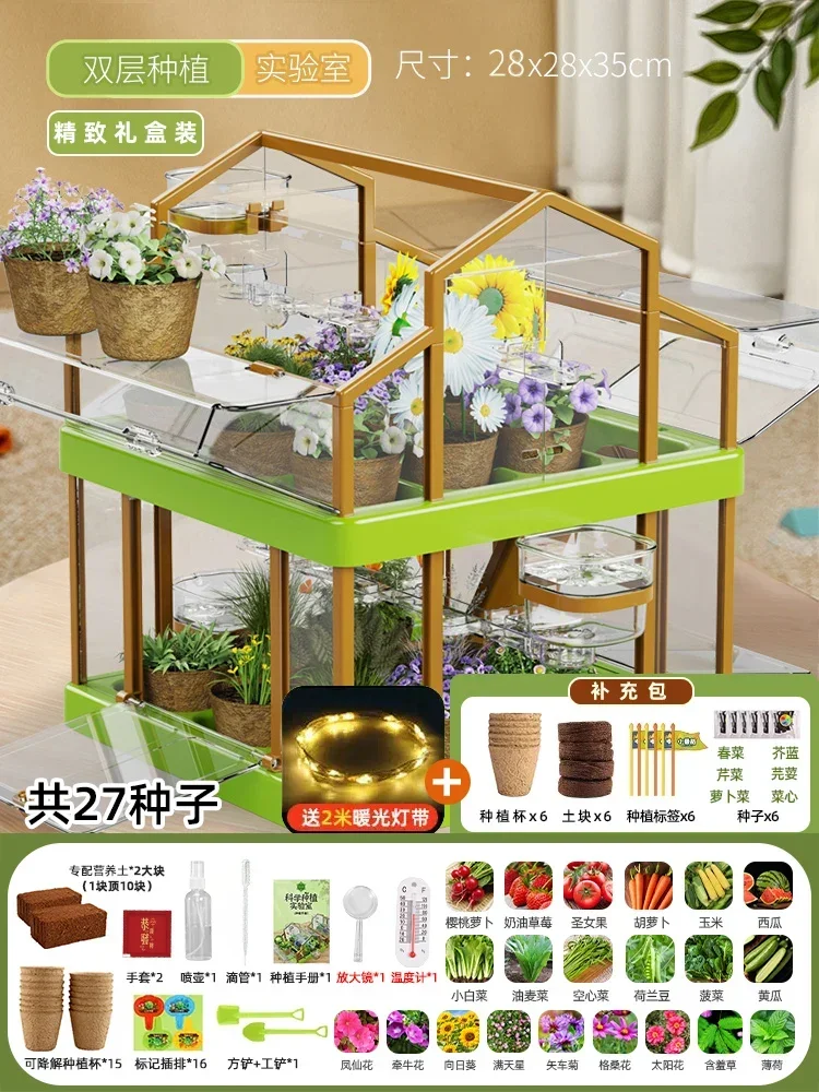 منزل زراعة أشعة الشمس للأطفال تجربة علمية صندوق مر...