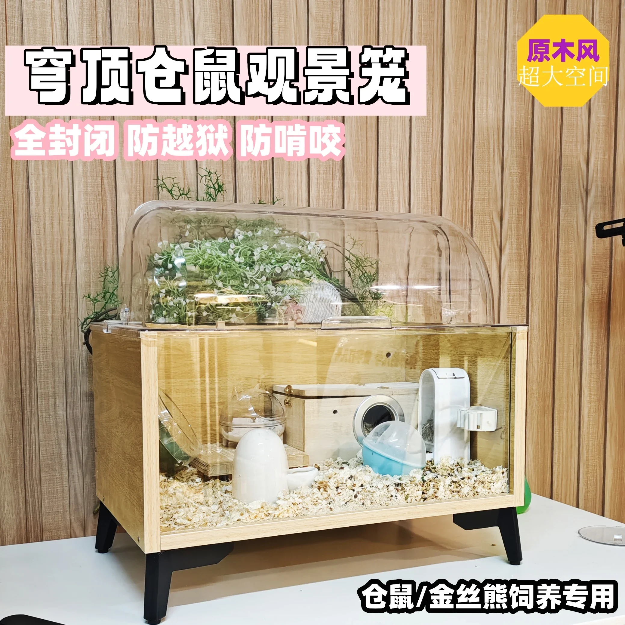Large Glass Hamster Enclosure: The Ultimate Guide to Choosing, Setting ...