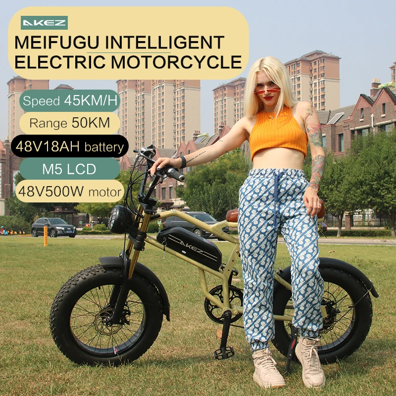 

Haishi 20 inch 4.0 thick tire soft tail electric mountain bike 500W/1500W 48V 18Ah full suspension 7-speed snow electric bicycle