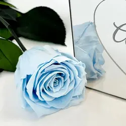Eternal Preserved Real Rose - Timeless Gift of Love and Elegance (Light blue)