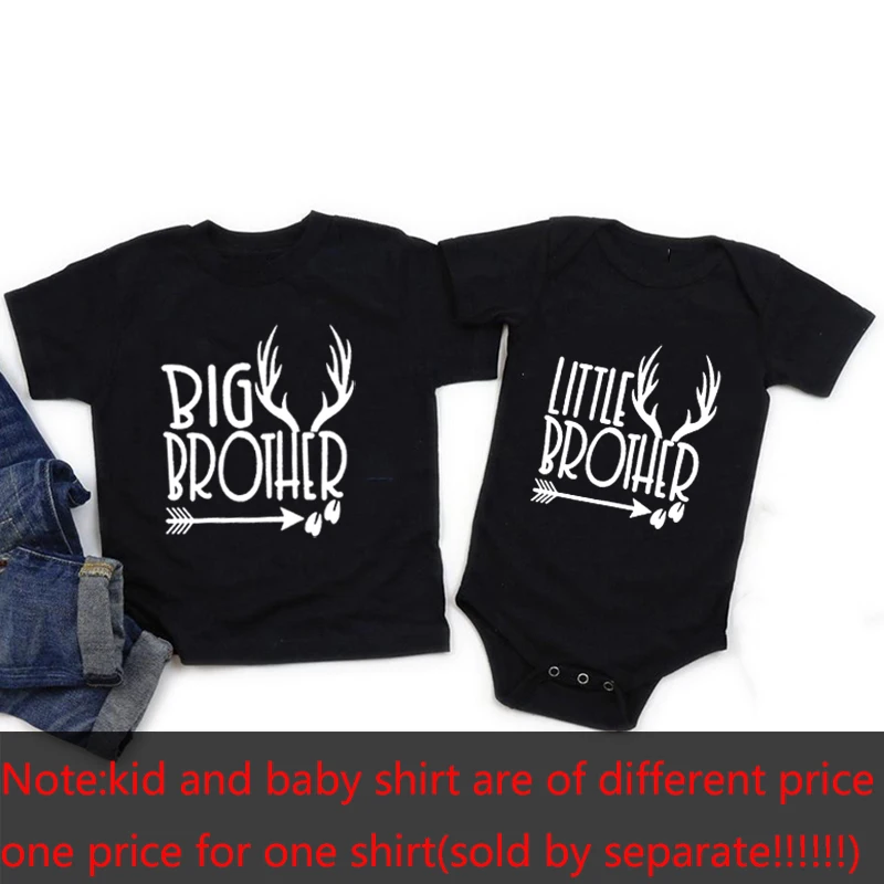 Big & Little Brother Dinosaur Tees 6