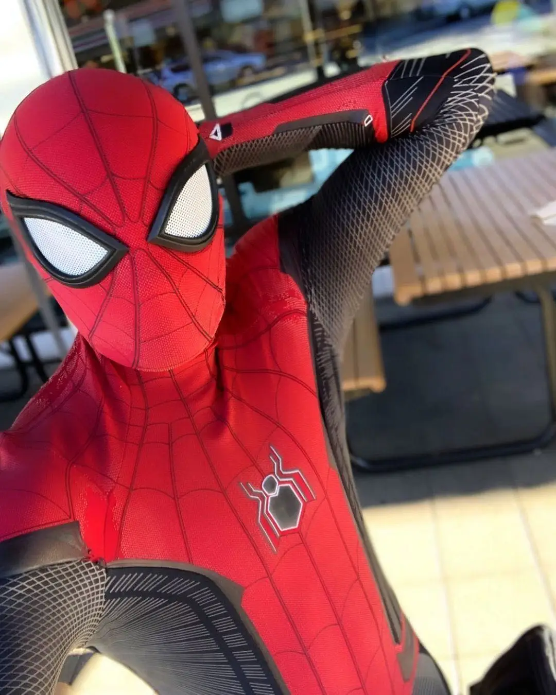 Spiderman Costume Adult