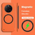 Vitality Orange