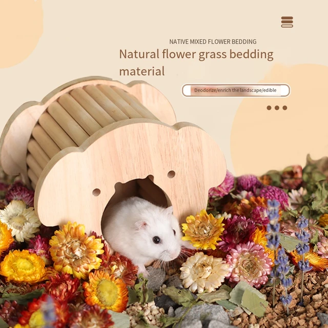 Natural Dried Moss Hamster Bedding Dust-free Hamster Padding Hamster Cage  Landscaping Supplies Hamster Accessories - AliExpress