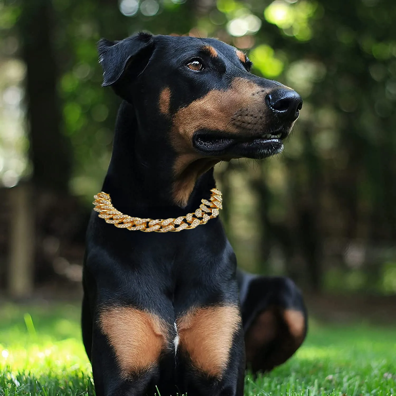 Banzai Turismo abrazo Collar de Perro de lujo con diamantes de imitación, cadena cubana de Rap,  gran cadena dorada, suministros Para perros – Tiny pets