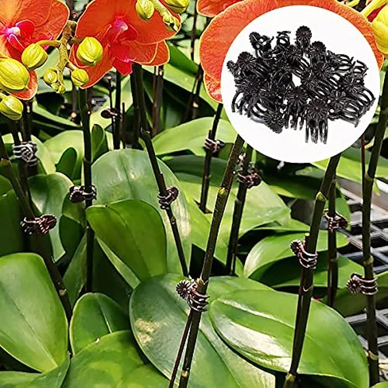 Plant Clips 30/50PCS 5-Claw Orchid Flowers Support Clamp Climbing Vine Stem Clasp Tied Bundle Branch Garden Tools