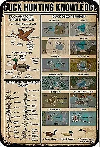 Lindafeeney Duck Hunting Knowledge Metal Tin Sign Duck Identification Chart Stampa Poster Targa Bar Club Man Cave Living Room