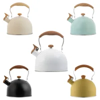 Bouilloire électrique à gaz touristique de 2,5 l avec sifflet, appareil de cuisine en acier inoxydable, théière de Camping, ustensiles de cuisine, ensemble de cuisine 6
