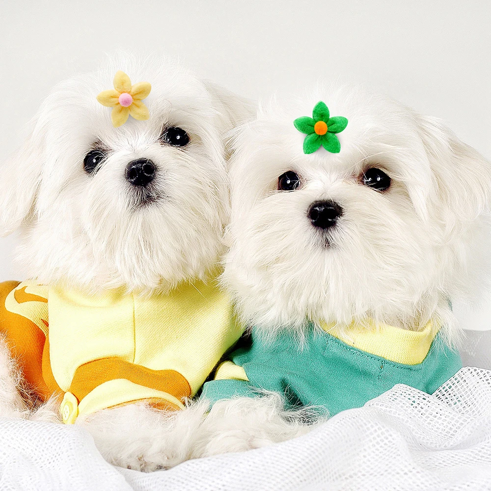 10/20pcs Flower Shape Dog Hair Bows Dog Bow Grooming Plaid Pure Mix Colors Cat Hair Bowknot Rubber Bands For Small Dogs Supplies 6