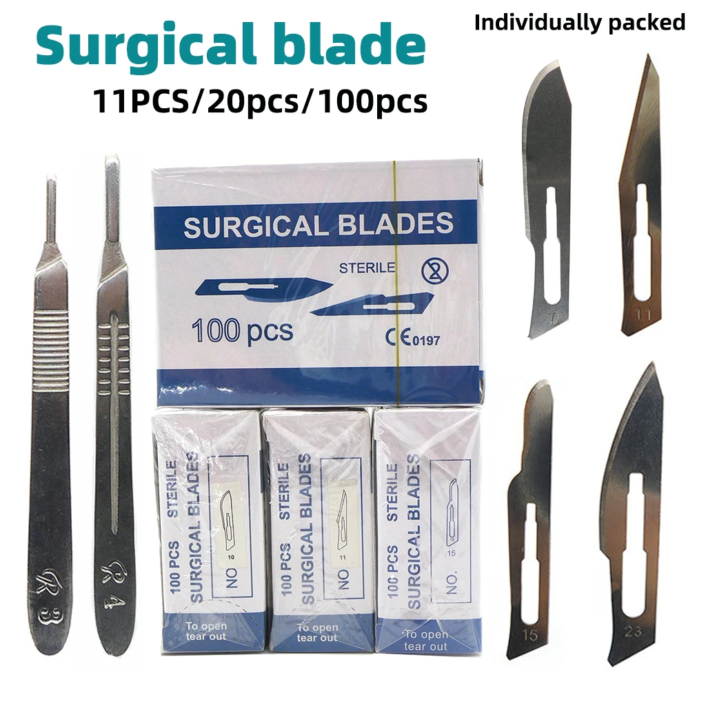 Scalpels Knives Used Make Incisions Carbon Steel Surgical Scalpel