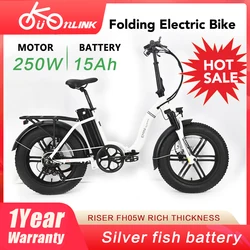 Folding Electric Bike 250W Ebike 36V 15Ah Electric Bicycle Foldable Bike for Man or Women Snow Bike Adult Bike