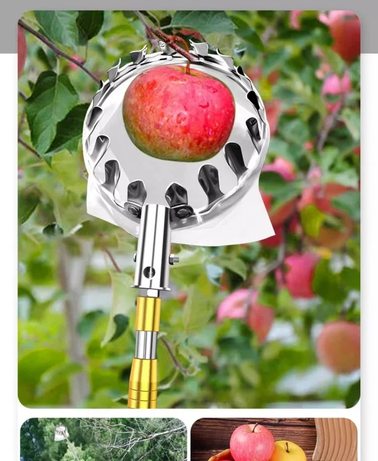 Raccoglifrutta Con Asta Allungabile - 3 Griffe In Gomma Morbida, Per Mele E Frutta, Lunghezza 1,5 M