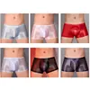 Sissy Full Transparent Briefs High Elastic Underwear Gay Man Ultra Thin Mesh Silky Panties Oil Shiny Penis Pouch Underpants 3