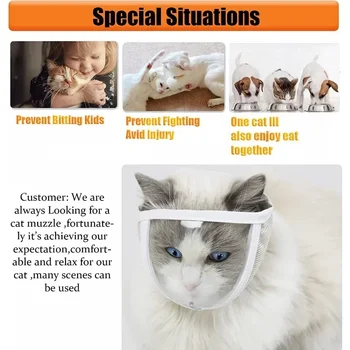 Cat Muzzle Clear Breathable Dogs Cats Bathing Grooming Tools Prevent from Cats Bite and Chew Puppy Kitten Muzzles Pet Supplies 2