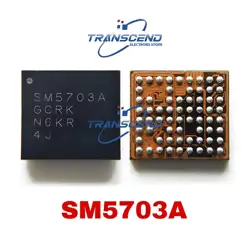 Enhanced Product Title: 

5PCS High - Quality Charging IC and Audio IC Set (5PCS 9895B)