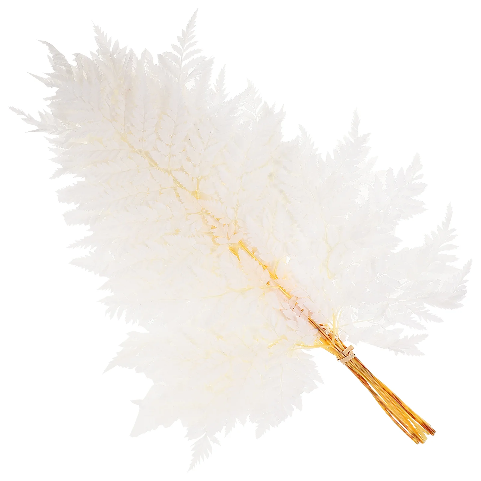 

Fern Leaves Wedding Decorations Plants Adornments Props Photography Dried Bouquet Natural Indoor