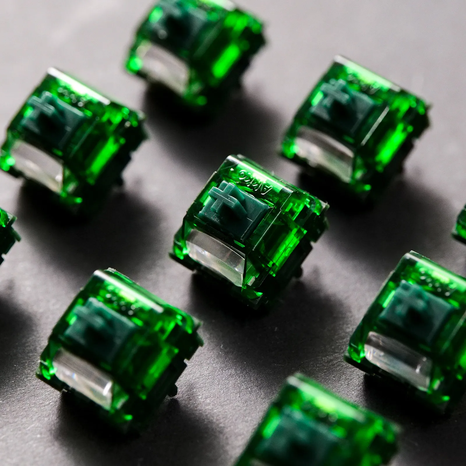 S6e56162e6cd242feb3b9e083e6804