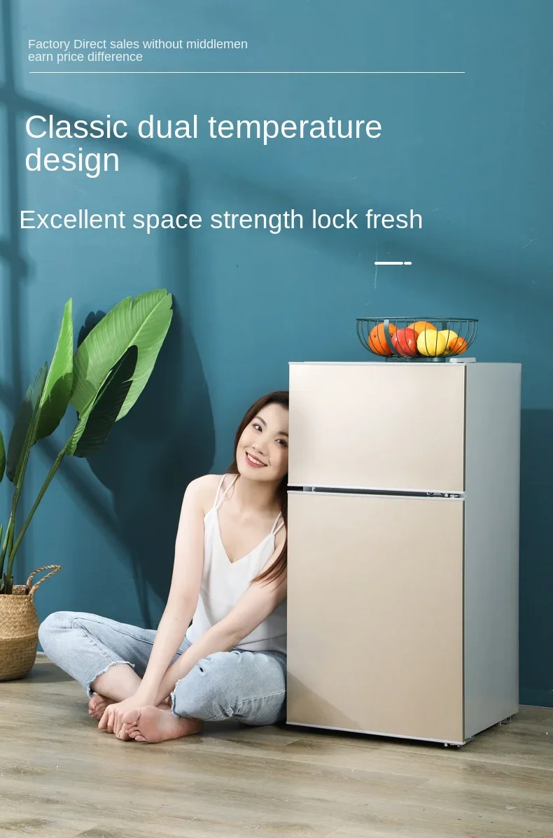 

220V Royalstar Modern Mini Fridge for Home, Dorms, Rentals, Energy-Saving Double-Door Refrigerator for Cooling and Freezing