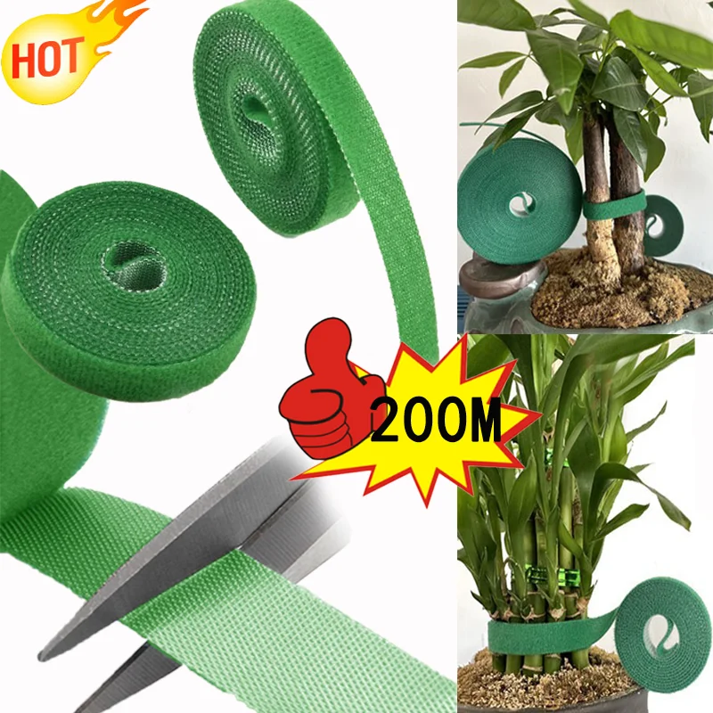 Self Adhesive Garden Tape Support For Plants Growing Climbing Reusable Plant Support Nylon Cable Tie Fastener Garden Accsesories plant ties,plastic plant cable ties,plastic plant supports,plant climbing support,plant stem support,plant support stick,plant support connector,plant adhesive hooks