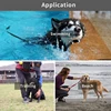 Nylon extra long training dog leash 3 /6 /10 meters pet leash for walking dogs Durable and strong traction rope Pet Products 6