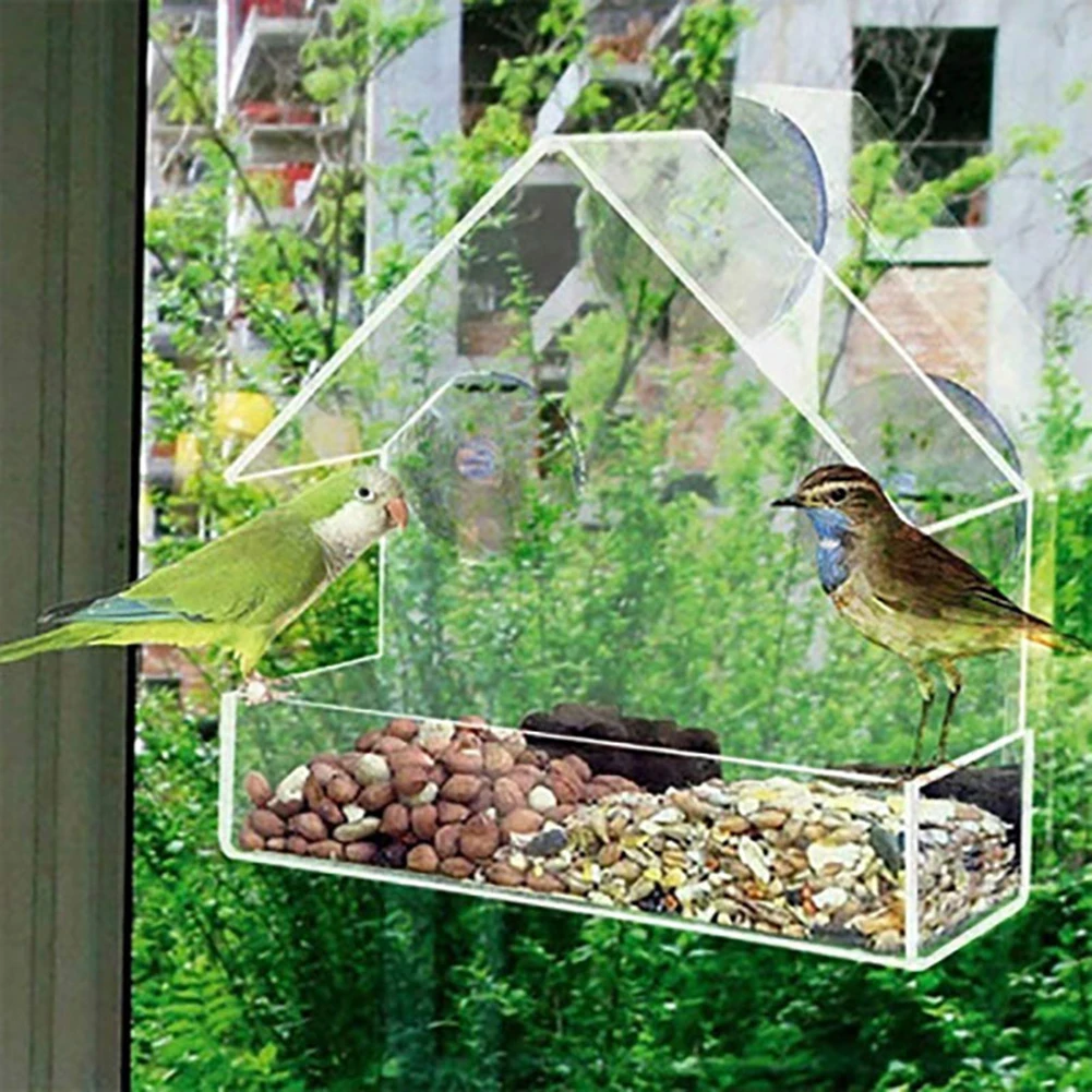 Mangeoire à oiseaux en acrylique transparent alimentant le bol