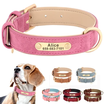 Custom Engraved Dog Collar 1
