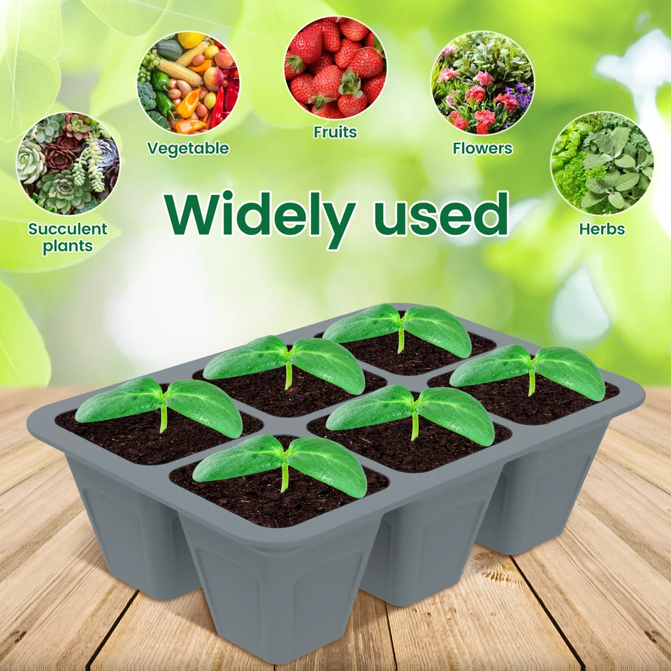 Kit iniziale di semi riutilizzabili con vassoi per la germinazione