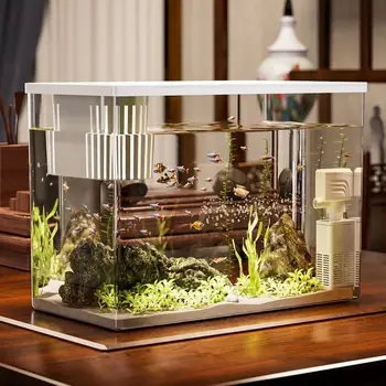 Desktop Aquarium with Lid 1