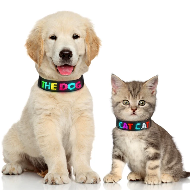 RGB LED Dog Collar with Custom Text 2