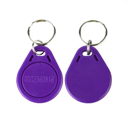 Enhanced RFID Proximity Key Fob Set - 100pcs 125khz ID Tags in Assorted Colors (Grey)