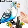 Electronic Pet Birds Toys Electric Voice-Controlled Induction Bird Simulation Parrot Can Fly Talk Birdcage Toy Kid Birthday Gift 2