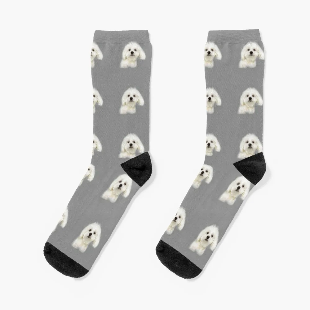 

Maltese puppy Socks essential floral set Male Socks Women's