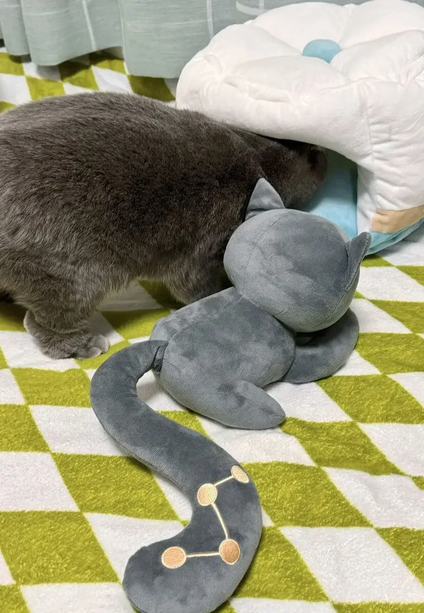 カエルぬいぐるみ　ドール　猫ちゃん　人形　動物　モデル　フィギュア　おもちゃ 41j7rFxFVYL.jpg_BO30,255,255,