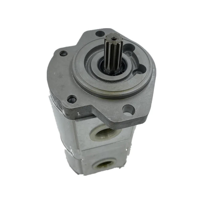 

CASAPPA PLP PLP20 SERIES gear pump PLP20.14DQ-82E2LGE/GD-NEI21/02 gear oil pump Pump PLM PLP PLP30 PLP20 PLP10